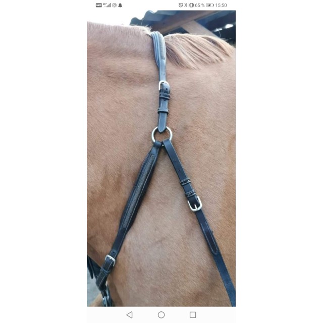 Collier de chasse