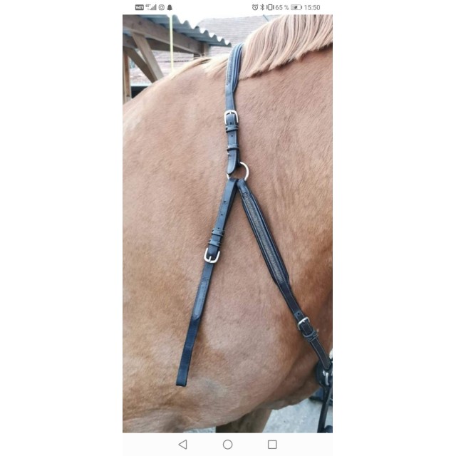 Collier de chasse