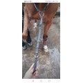 Collier de chasse
