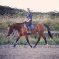 Tapis privilège équitation