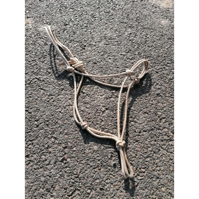 Licol Éthologique