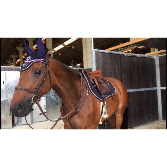 A vendre Bridon Ikonic