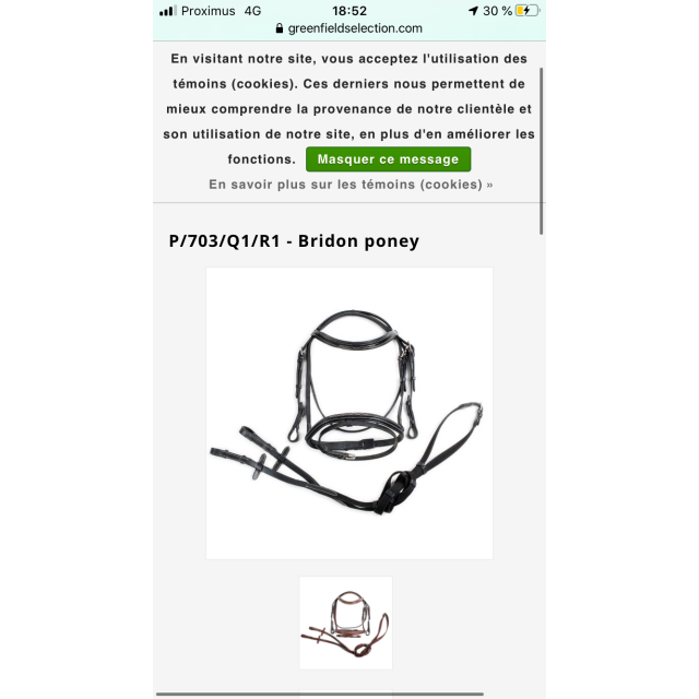 Bridon Greenfield taille poney