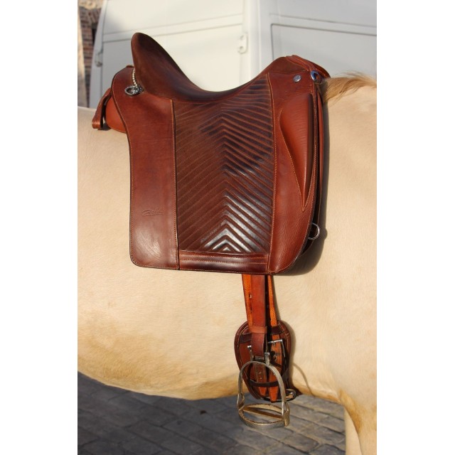 selle zaldi escola portuguesa