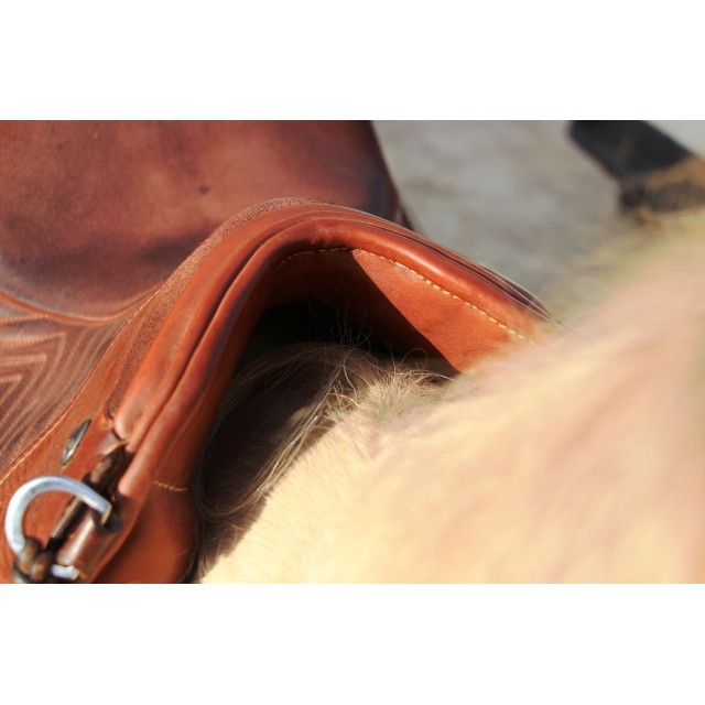 selle zaldi escola portuguesa