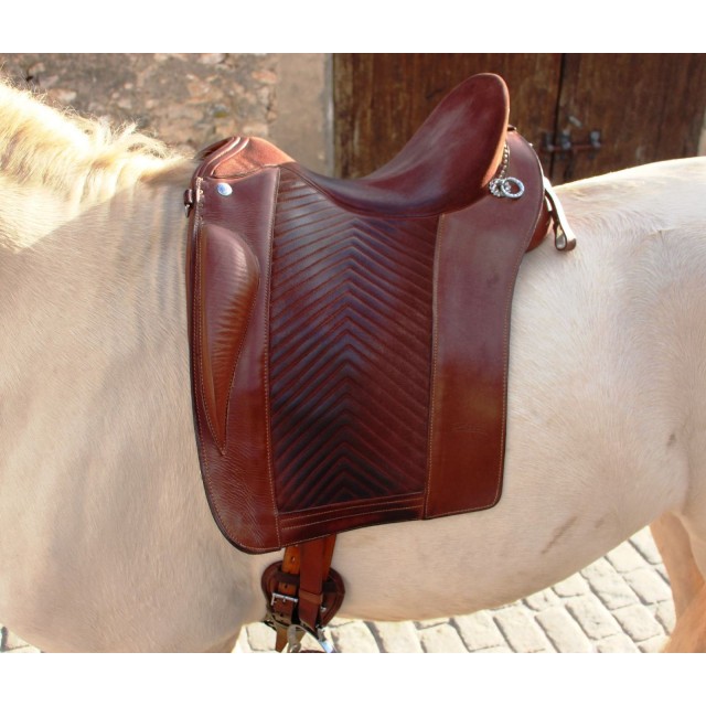 selle zaldi escola portuguesa