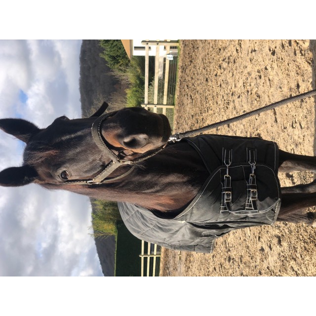 Couverture equitheme