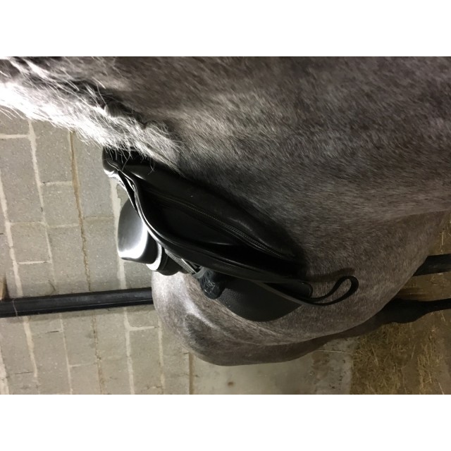 Selle Ikonic mixte