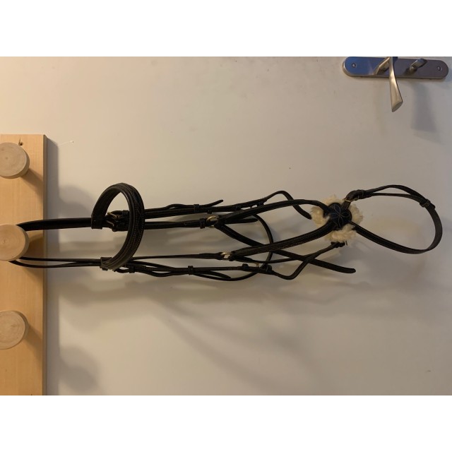 Bridon Éric Thomas Noir taille Cheval