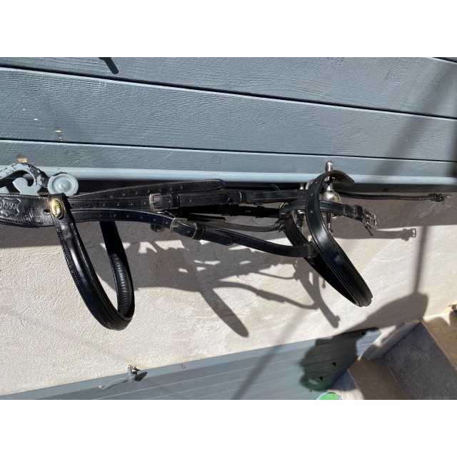 Filet protanner gold