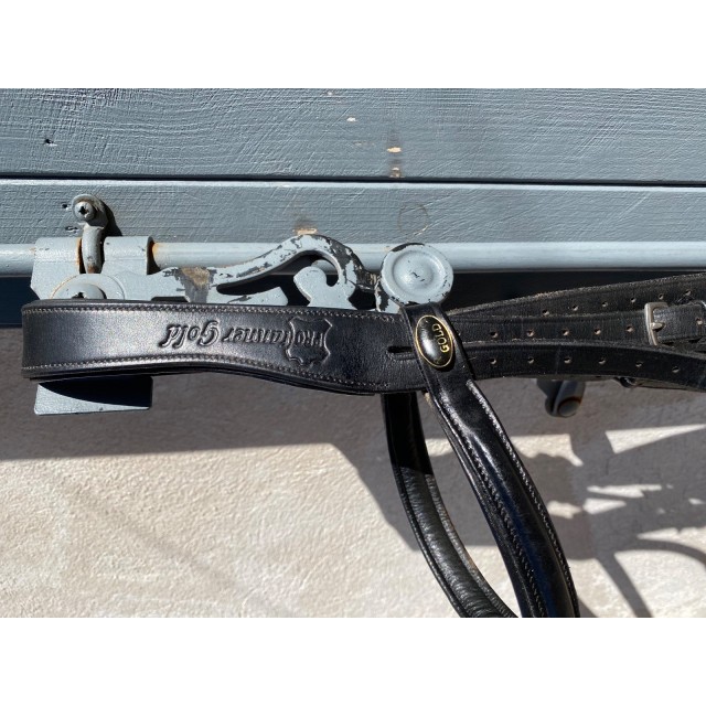 Filet protanner gold