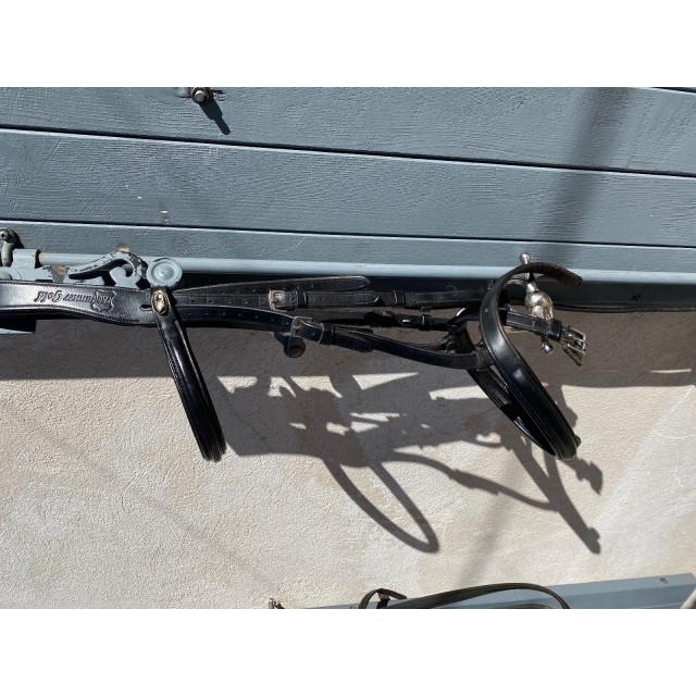 Filet protanner gold