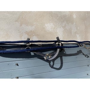 Licol taille cob avec strass