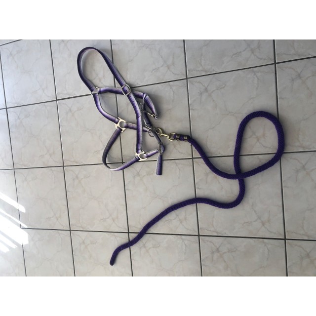 Licol + longe