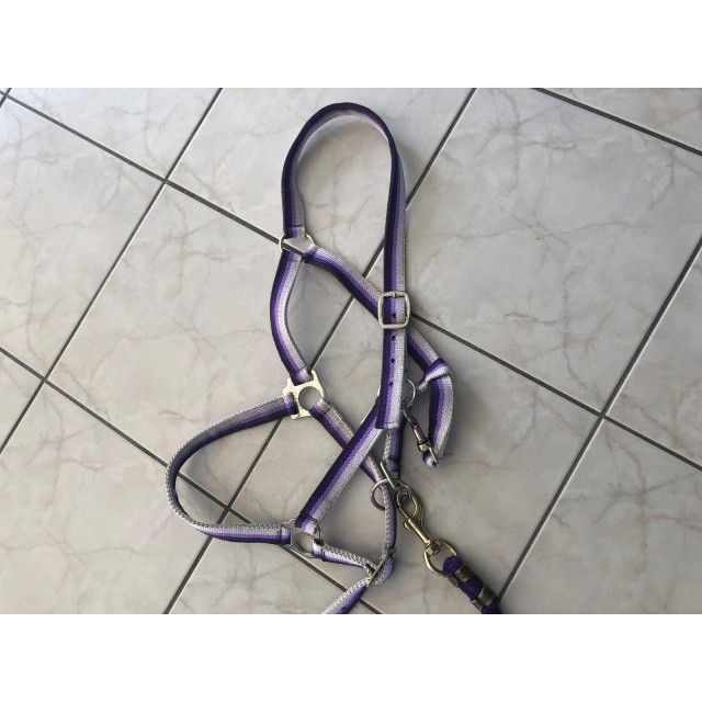 Licol + longe