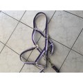 Licol + longe