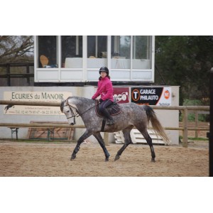 Tapis noir et cuir marron Silver crown
