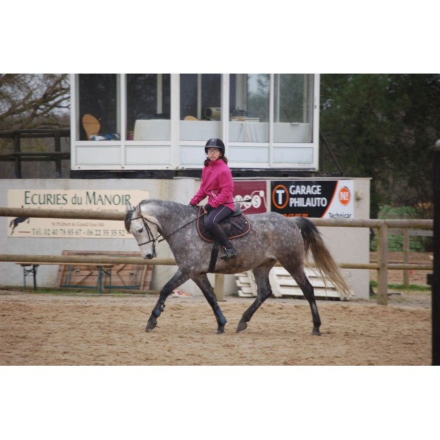 Tapis noir et cuir marron Silver crown