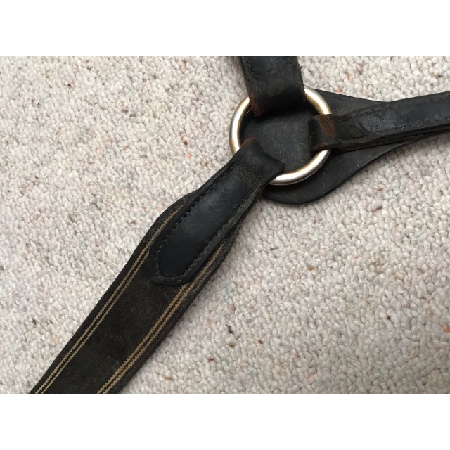 COLLIER DE CHASSE TIME RIDER