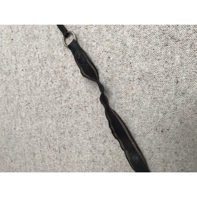 COLLIER DE CHASSE TIME RIDER