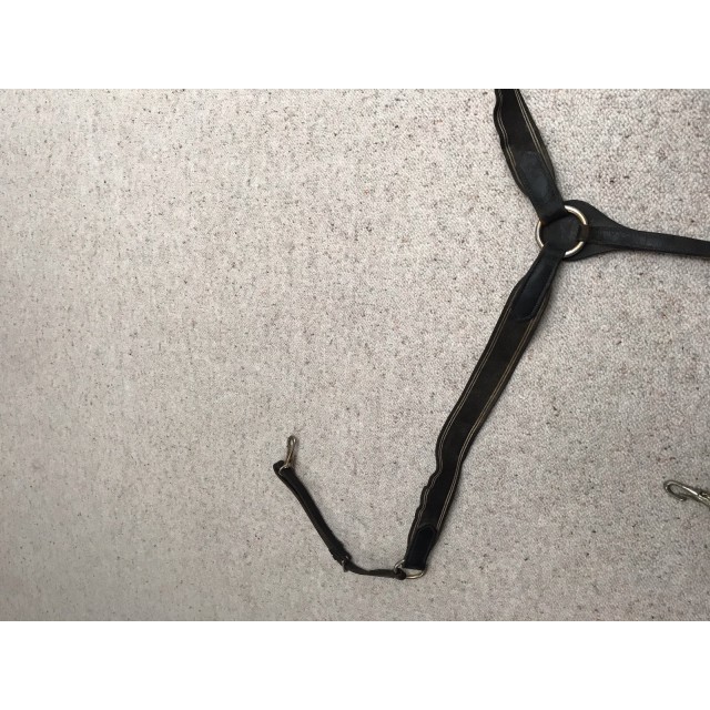 COLLIER DE CHASSE TIME RIDER