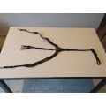 Collier de chasse Devoucoux NEUF