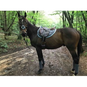 ensemble Anna scarpati