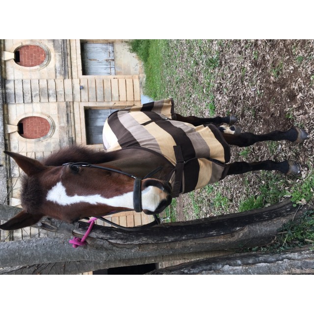 Chemise Polaire Cheval Equitheme Stripe