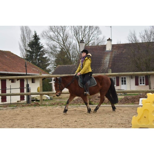 Ensemble lamicell vert sapin