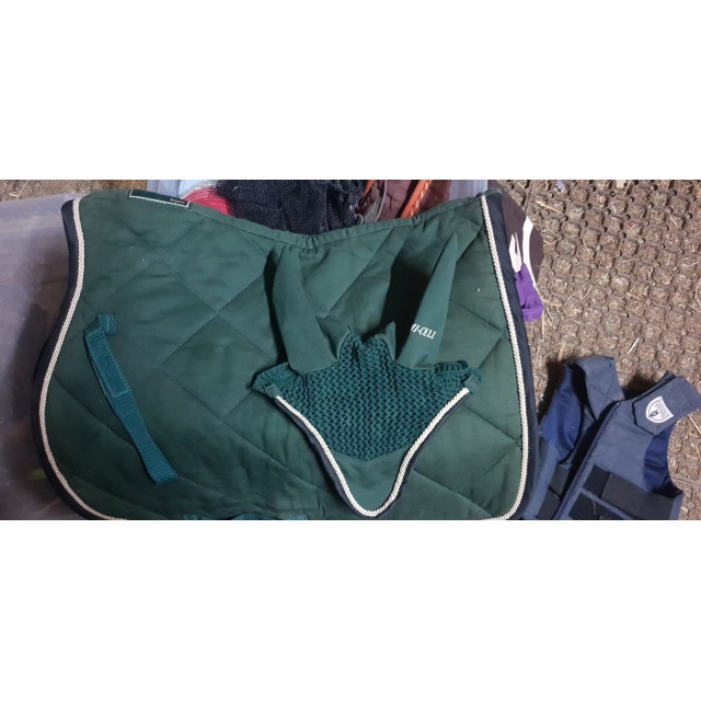 Ensemble lamicell vert sapin