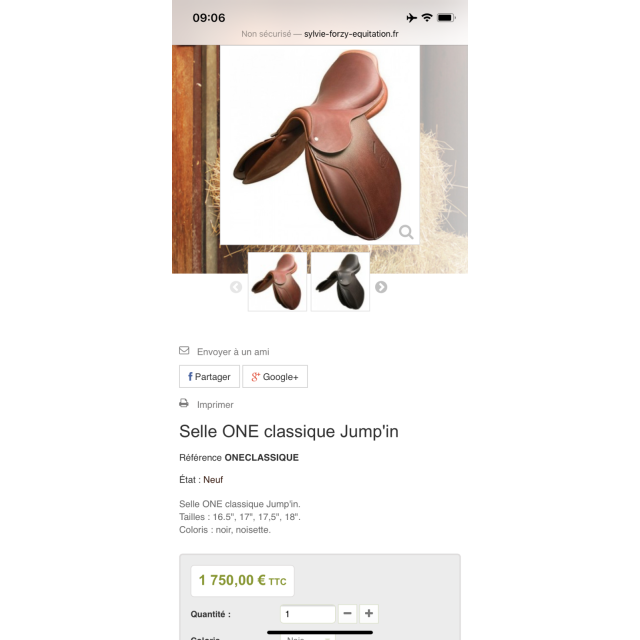 Selle Hervé Godignion « ONE »