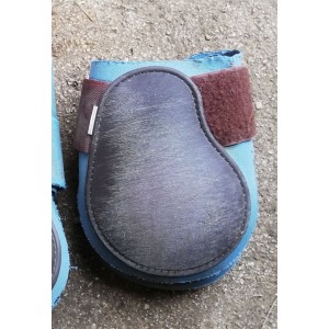 Ensemble protections