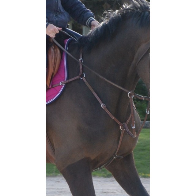 Collier de chasse Horse'in