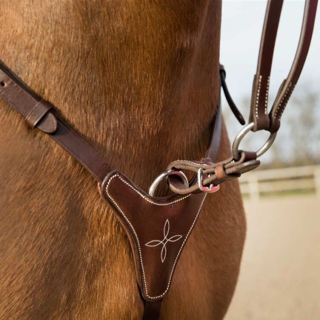 Collier de chasse réglable