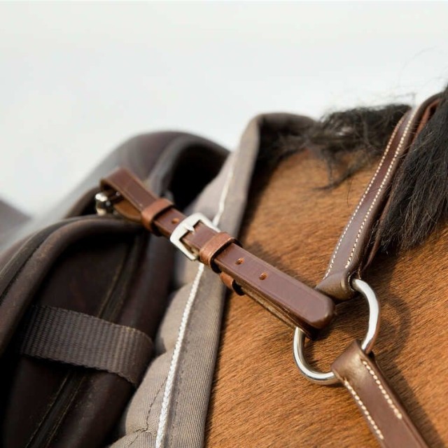 Collier de chasse réglable