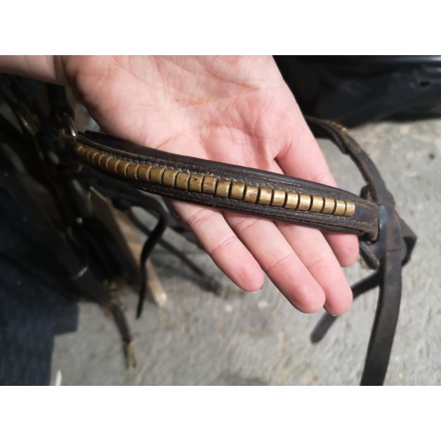 Filet Clincher Muserolle croisée taille cob