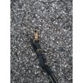 Collier de chasse noir et beige
