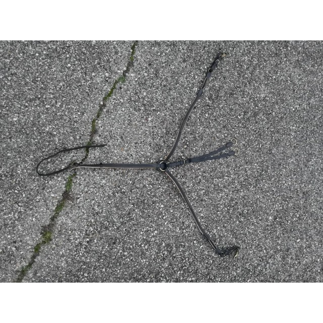 Collier de chasse noir et beige