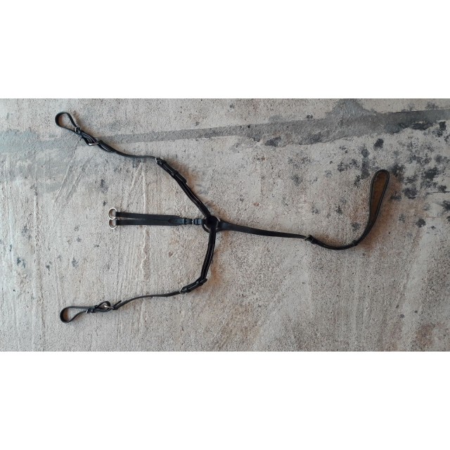 Collier de chasse + martingale fouganza