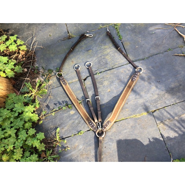 Collier de chasse avec martingale