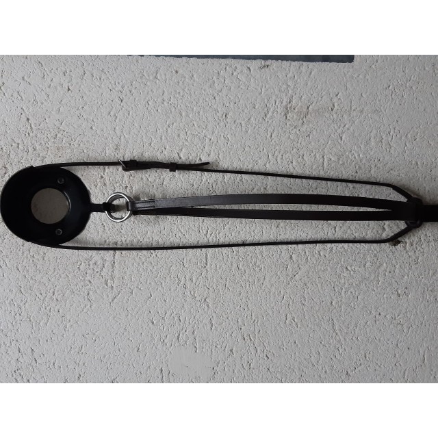 Martingale marron TBE