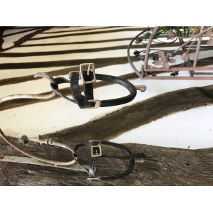 Éperons de dressage