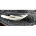 Bottes d ecurie noires Norton T 33/34 BE