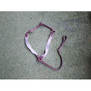 Collier de chasse + martingale