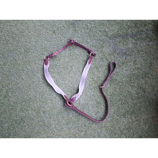 Collier de chasse + martingale