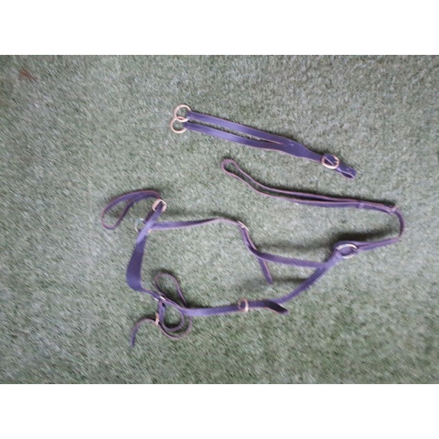 Collier de chasse + martingale