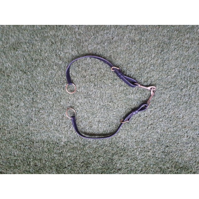 Collier de chasse + martingale