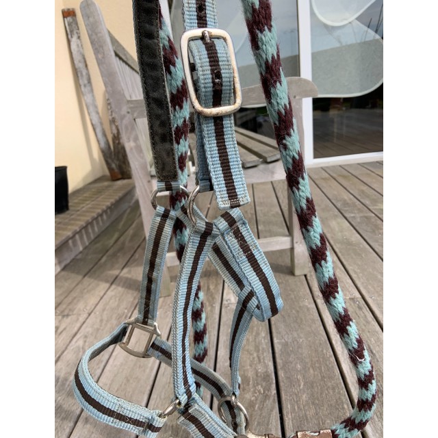 Licol et Longe Bleu Ciel et Marron Poney