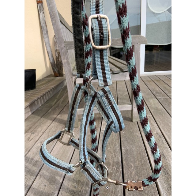 Licol et Longe Bleu Ciel et Marron Poney