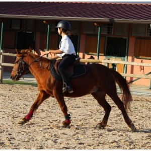 TAPIS DE SELLE NOIR STRASS